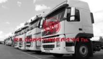 Profil PT Guna Timur Raya Tbk, dari Truk Sewa ke Bursa